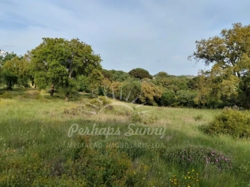 Terreno Misto para Venda em São Francisco da Serra
