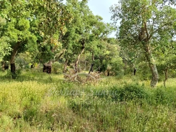 Terreno Misto para Venda em São Francisco da Serra