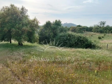 Terreno Misto para Venda em São Francisco da Serra