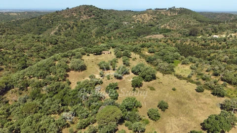 Terreno Misto para Venda em São Francisco da Serra