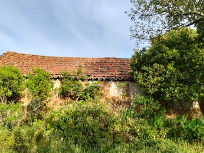 Terreno Misto para Venda em São Francisco da Serra Foto 3
