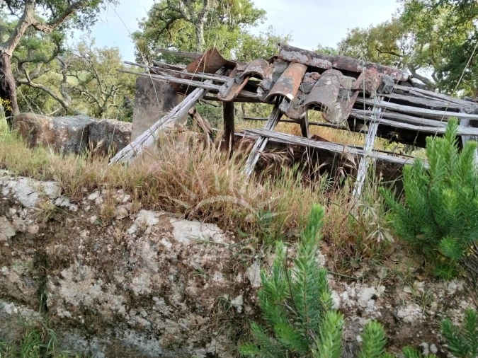 Terreno Misto para Venda em São Francisco da Serra Foto 11