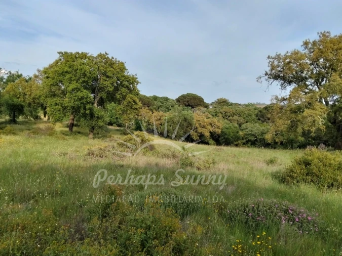 Terreno Misto para Venda em São Francisco da Serra Foto 18