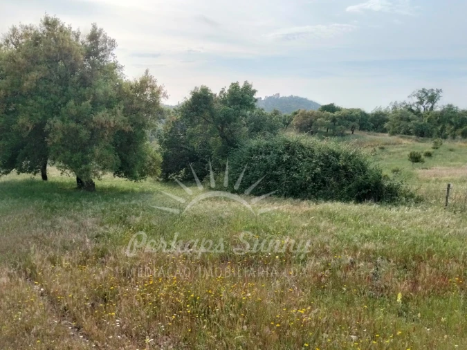 Terreno Misto para Venda em São Francisco da Serra Foto 24