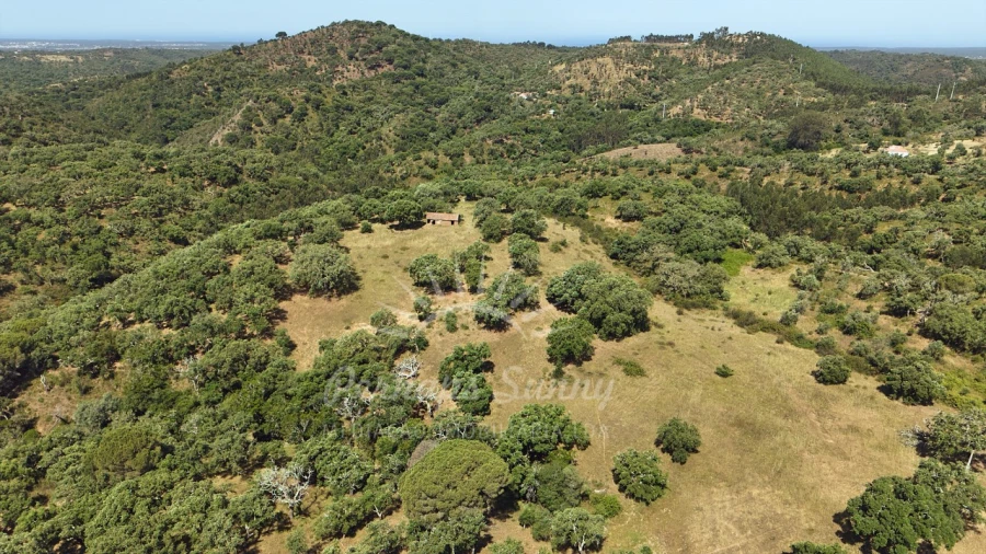 Terreno Misto para Venda em São Francisco da Serra Foto 7