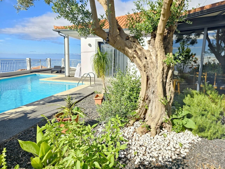 Moradia T3 para Venda em Ribeira Brava Foto 1