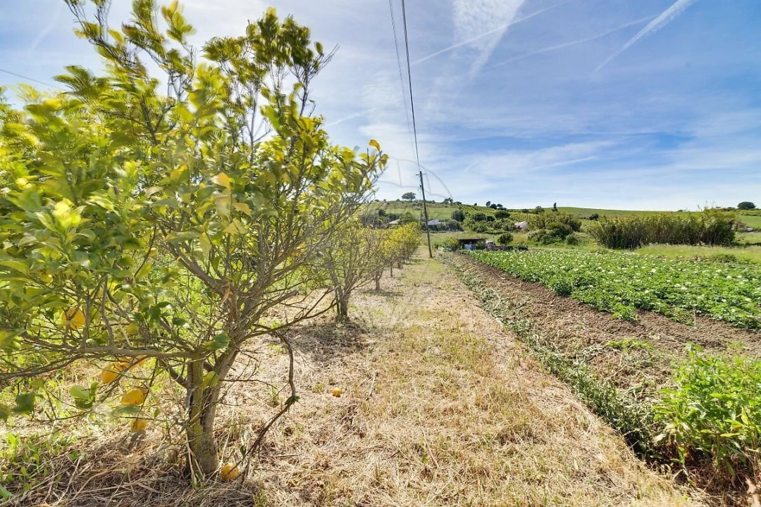 Moradia T3 para Venda em Arruda dos Vinhos Foto 35