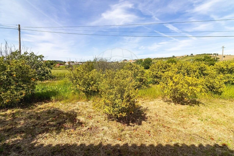 Moradia T3 para Venda em Arruda dos Vinhos Foto 36