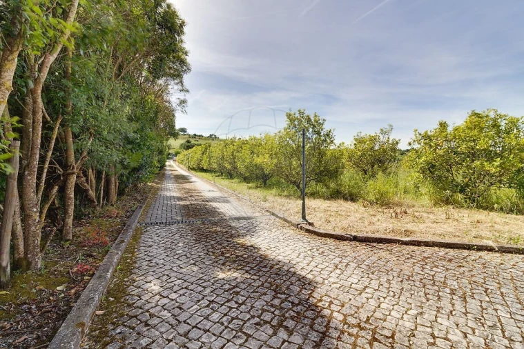 Moradia T3 para Venda em Arruda dos Vinhos Foto 37
