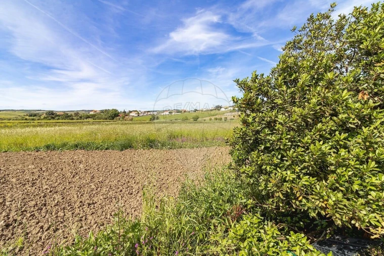 Moradia T3 para Venda em Arruda dos Vinhos Foto 38