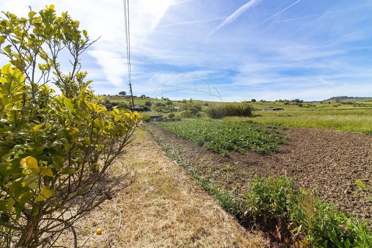 Moradia T3 para Venda em Arruda dos Vinhos Foto 34
