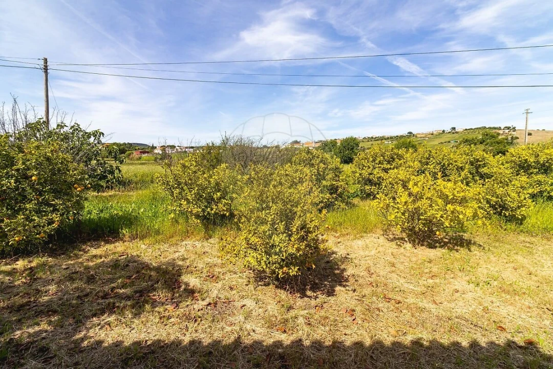 Moradia T3 para Venda em Arruda dos Vinhos Foto 36