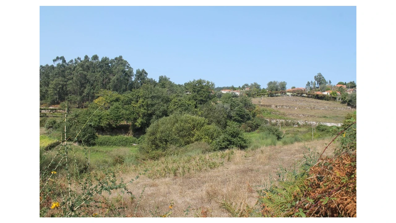 Terreno para Venda em Távora (Santa Maria e São Vicente) Foto 3