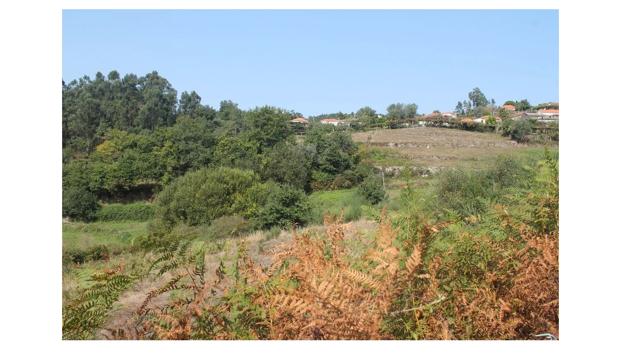 Terreno para Venda em Távora (Santa Maria e São Vicente) Foto 1