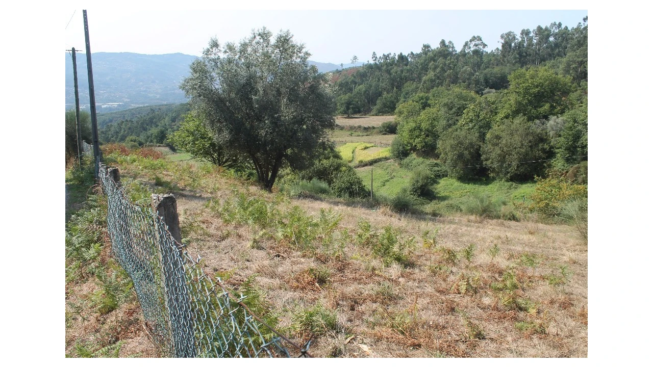 Terreno para Venda em Távora (Santa Maria e São Vicente) Foto 13