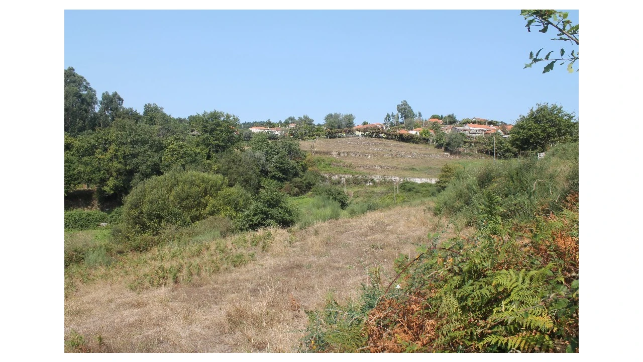 Terreno para Venda em Távora (Santa Maria e São Vicente) Foto 2