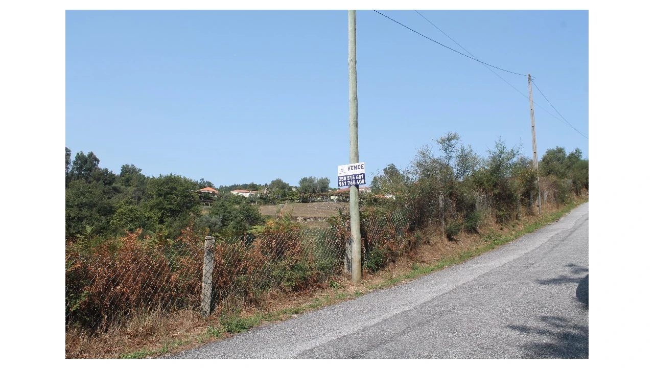 Terreno para Venda em Távora (Santa Maria e São Vicente) Foto 9