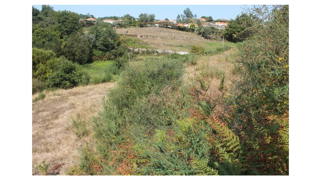 Terreno para Venda em Távora (Santa Maria e São Vicente) Foto 11