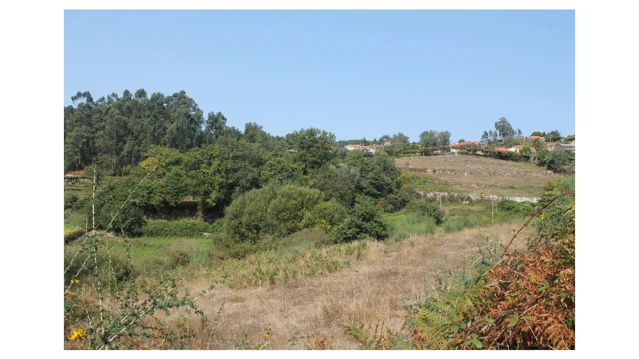 Terreno para Venda em Távora (Santa Maria e São Vicente) Foto 4