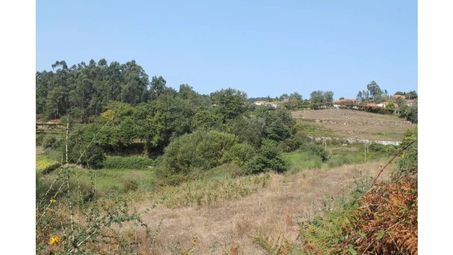 Terreno para Venda em Távora (Santa Maria e São Vicente) Foto 3