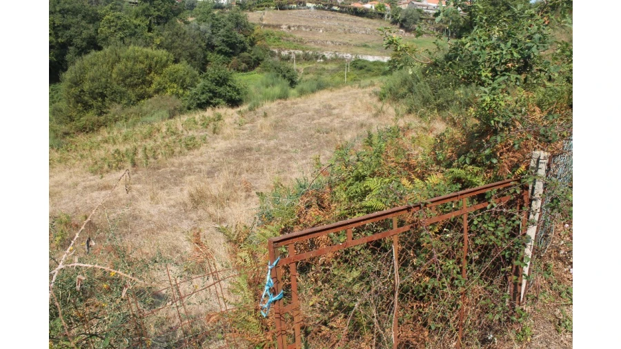 Terreno para Venda em Távora (Santa Maria e São Vicente) Foto 8