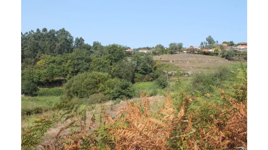 Terreno para Venda em Távora (Santa Maria e São Vicente) Foto 1