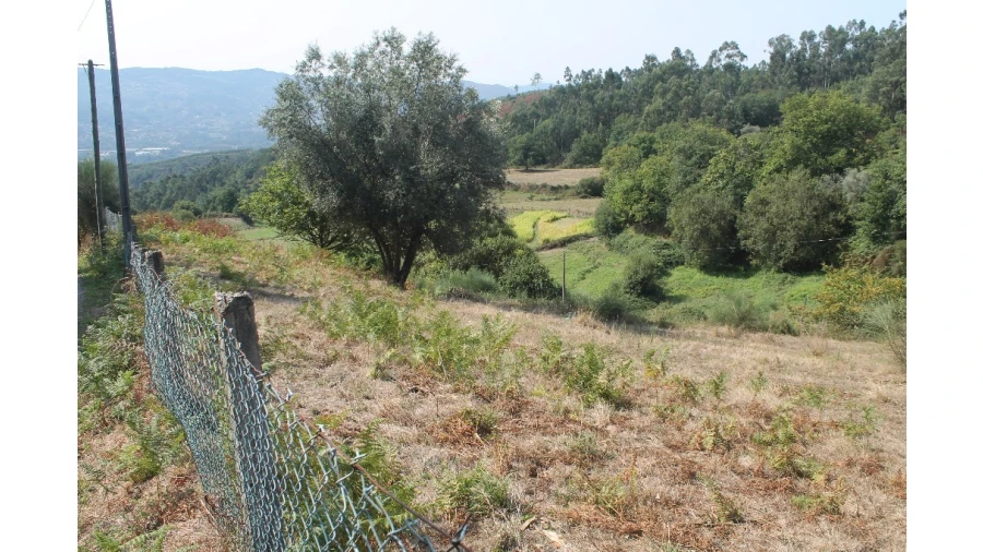 Terreno para Venda em Távora (Santa Maria e São Vicente) Foto 13