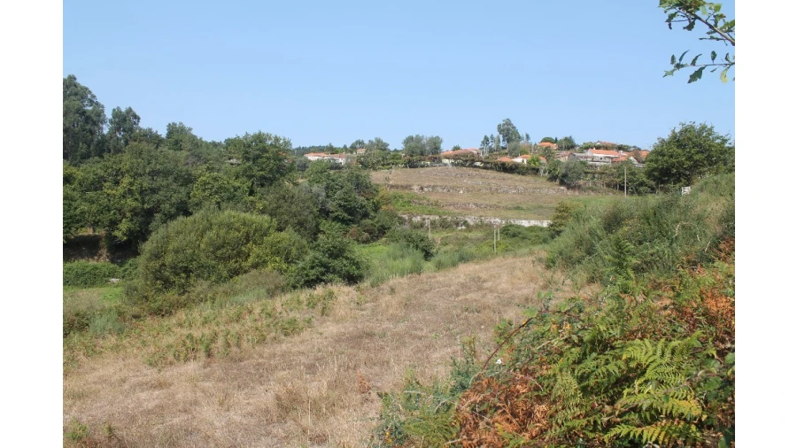 Terreno para Venda em Távora (Santa Maria e São Vicente) Foto 2