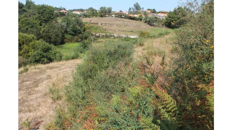 Terreno para Venda em Távora (Santa Maria e São Vicente) Foto 11