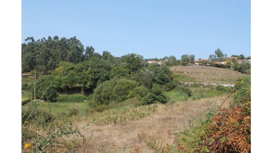 Terreno para Venda em Távora (Santa Maria e São Vicente) Foto 4