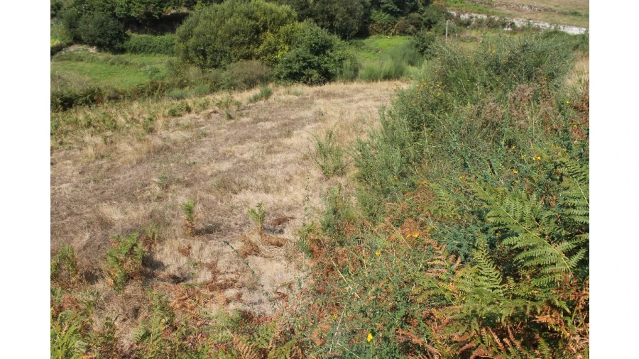 Terreno para Venda em Távora (Santa Maria e São Vicente) Foto 10