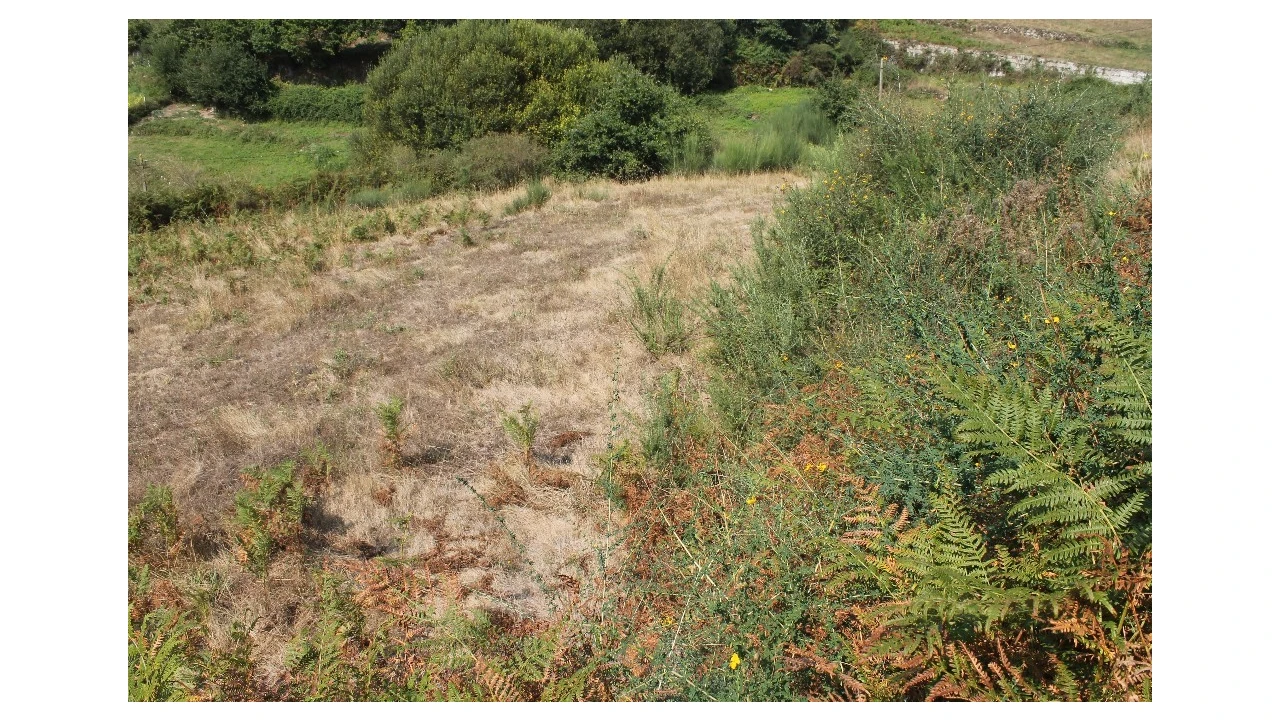Terreno para Venda em Távora (Santa Maria e São Vicente) Foto 10