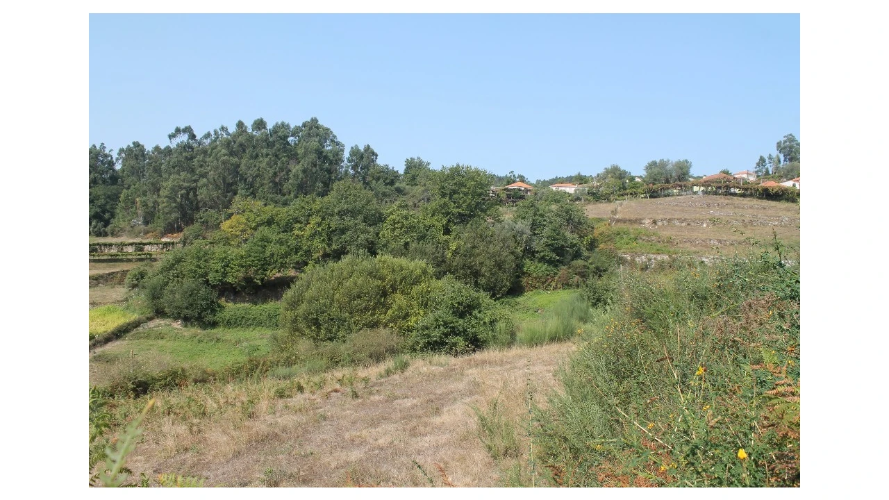 Terreno para Venda em Távora (Santa Maria e São Vicente) Foto 5