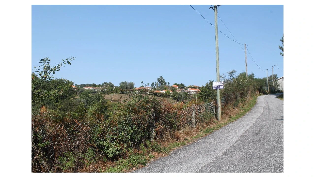 Terreno para Venda em Távora (Santa Maria e São Vicente) Foto 6