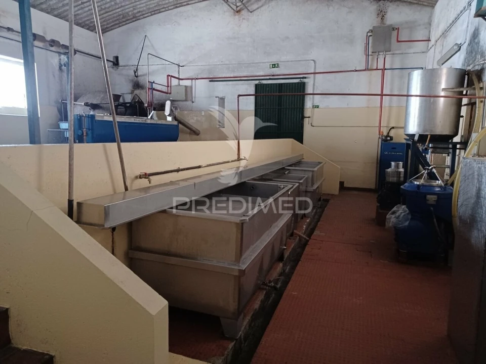 Quinta T0 para Venda em Ponte de Sor, Tramaga e Vale de Açor Foto 10