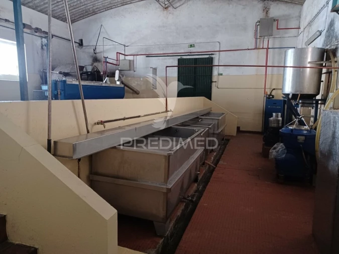 Quinta T0 para Venda em Ponte de Sor, Tramaga e Vale de Açor Foto 10