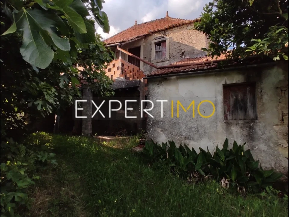 Terreno para Venda em Vila Cã Foto 5