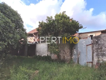 Terreno para Venda em Vila Cã