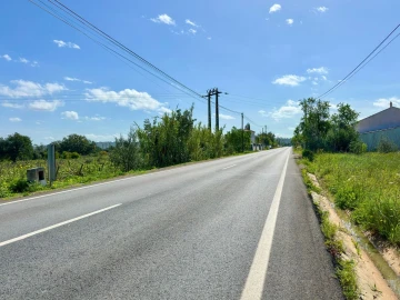 Quinta T8 para Venda em Algoz e Tunes