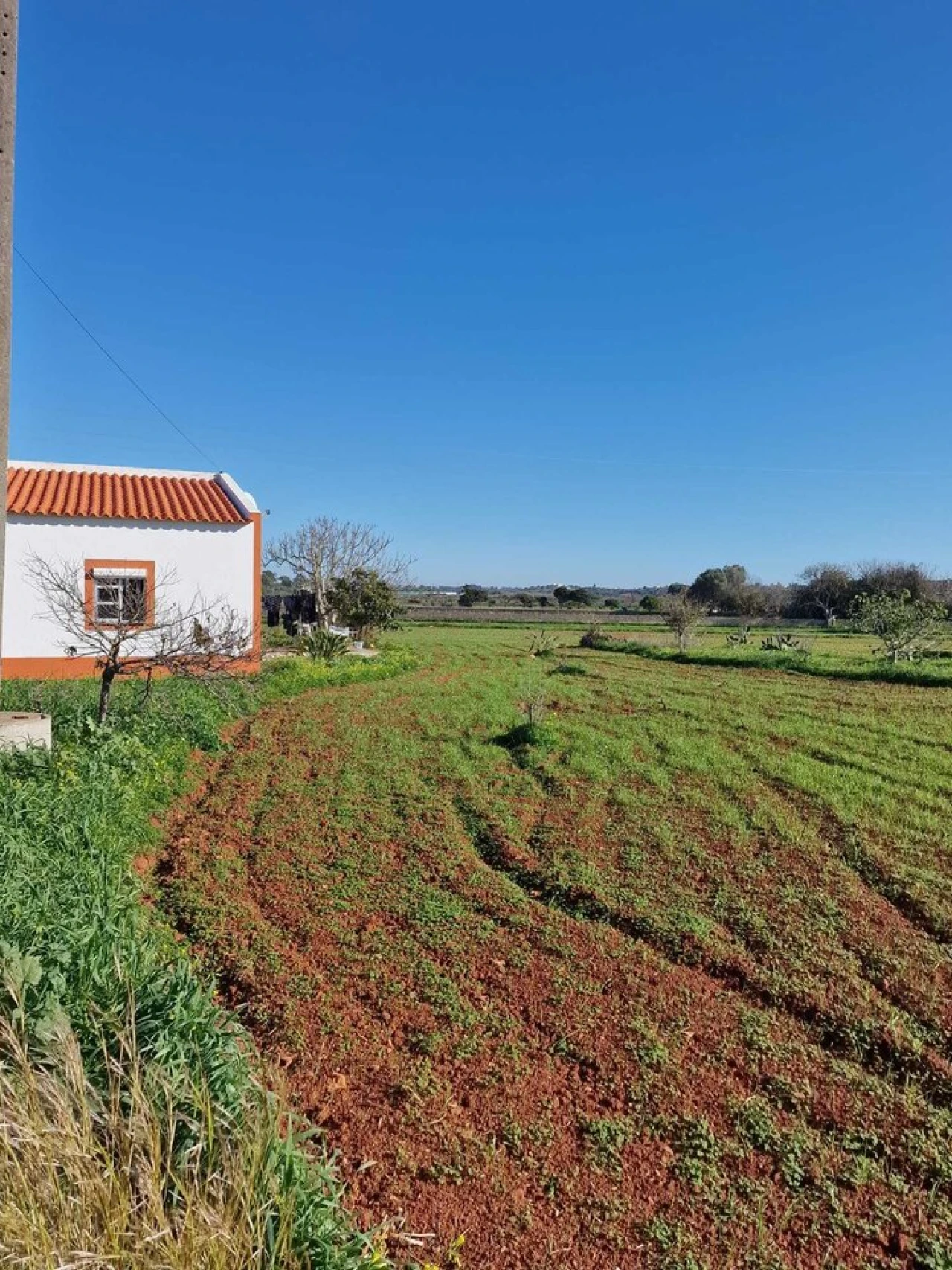 Moradia T3 para Venda em Odiaxere Foto 1