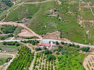 Quinta T0 para Venda em Alferce