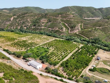 Quinta T0 para Venda em Alferce