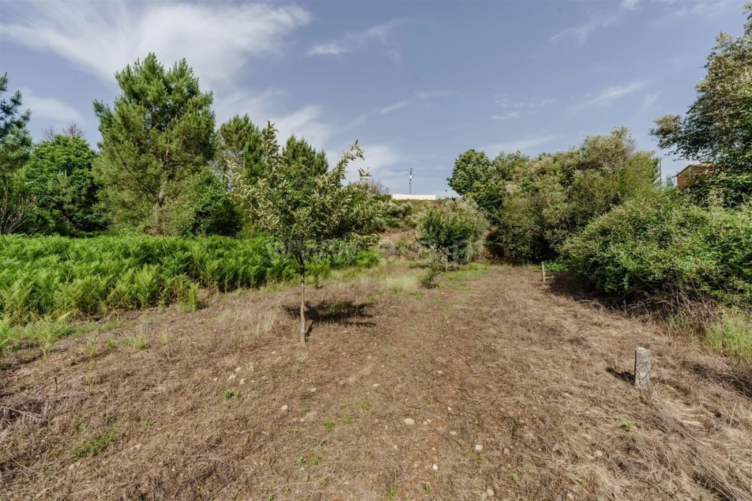 Terreno para Venda em Paul Foto 3