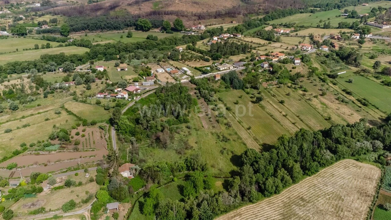 Terreno para Venda em Paul Foto 13