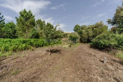 Terreno para Venda em Paul