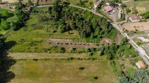 Terreno para Venda em Paul