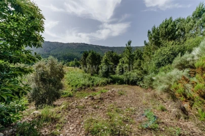 Terreno para Venda em Paul