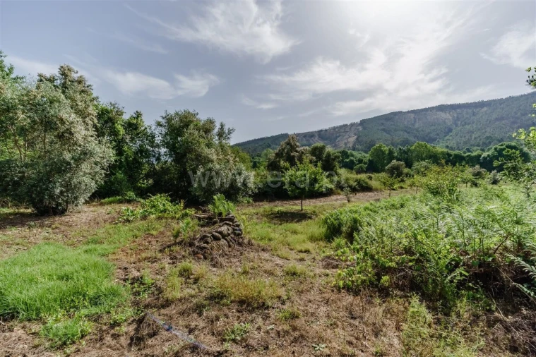 Terreno para Venda em Paul Foto 8