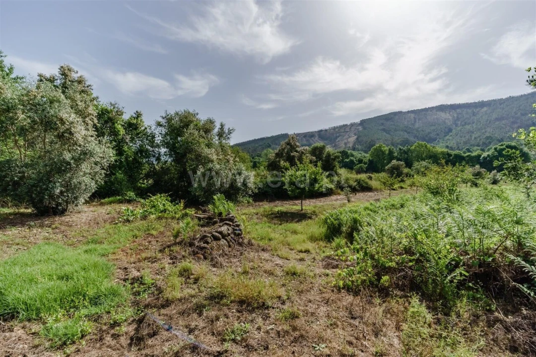 Terreno para Venda em Paul Foto 8