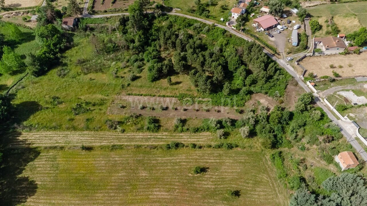 Terreno para Venda em Paul Foto 15
